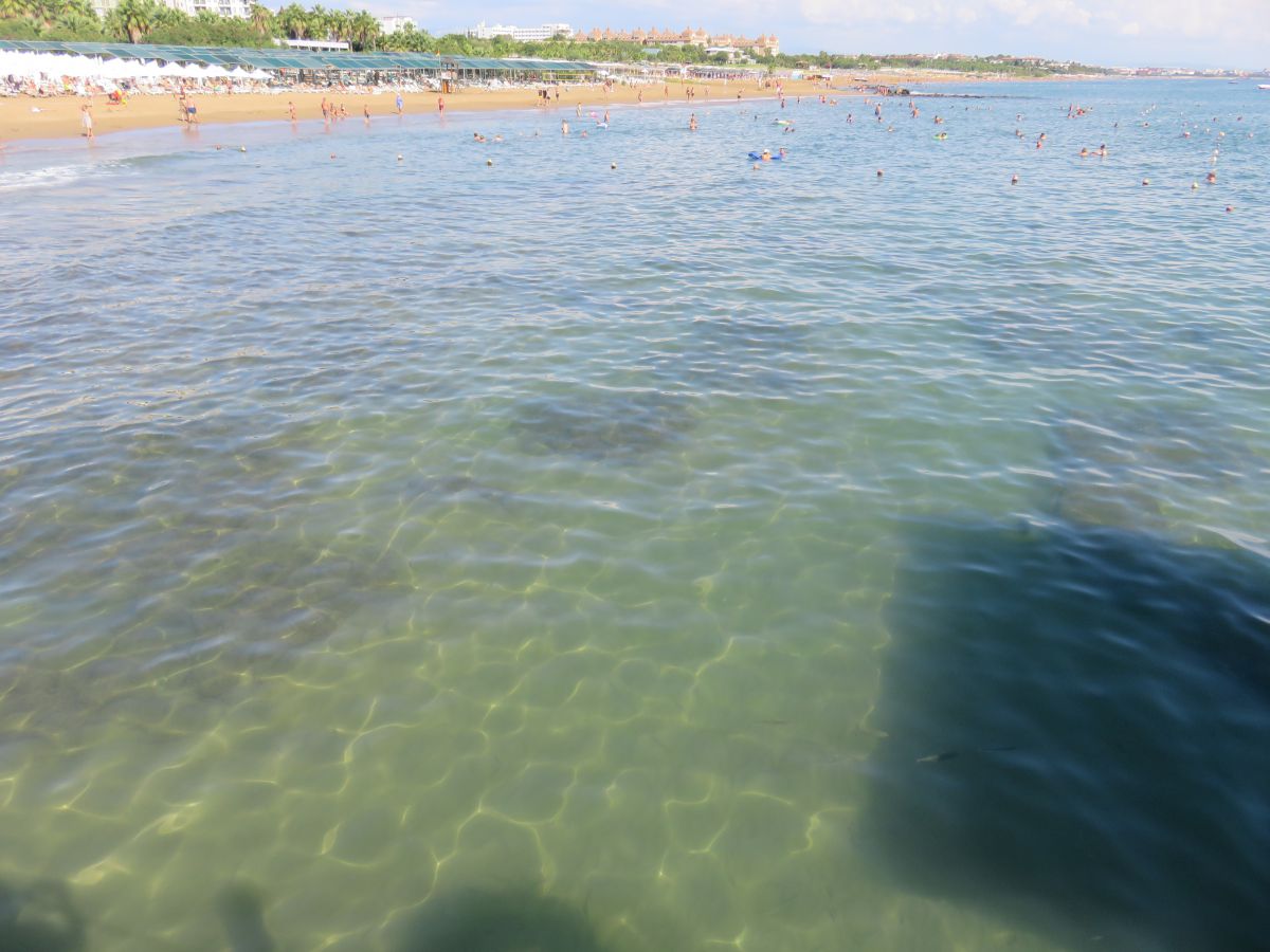 imagini hotel Von Elite